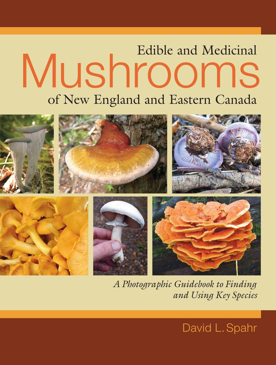 Edible and Medicinal Mushrooms of New England and Eastern Canada-Nature and the natural world: general interest-買書書 BuyBookBook
