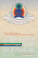 A Spacious Path to Freedom-Religion and beliefs-買書書 BuyBookBook