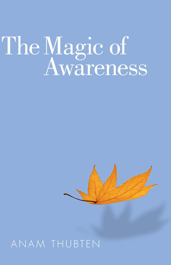 The Magic of Awareness-Religion and beliefs-買書書 BuyBookBook