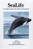 Sealife-Mathematics and Science-買書書 BuyBookBook