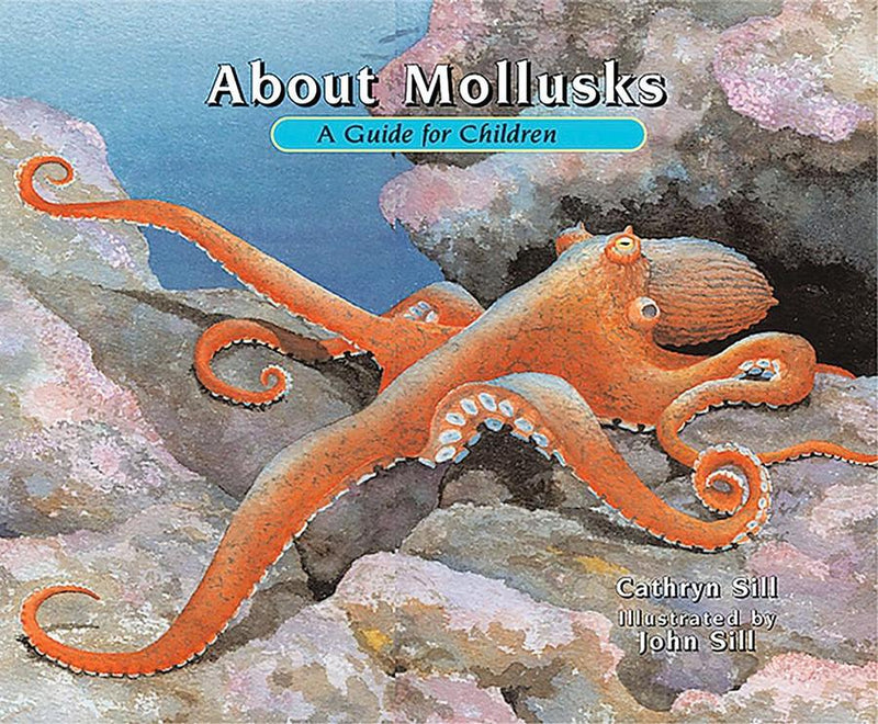 About Mollusks-Children’s / Teenage general interest: Science and technology-買書書 BuyBookBook