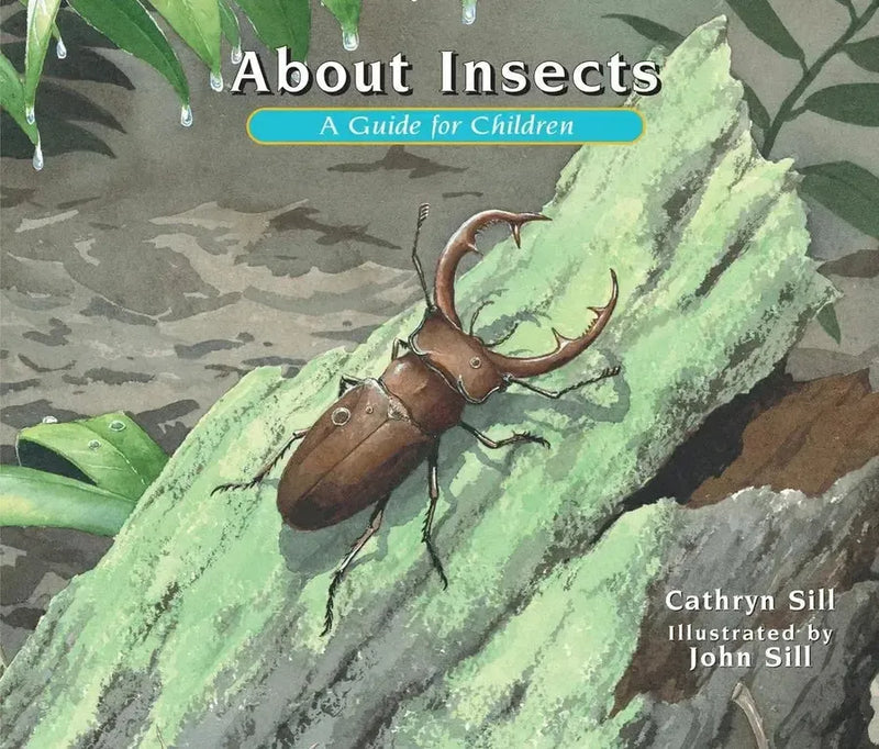 About Insects-Children’s / Teenage general interest: Nature and animals-買書書 BuyBookBook