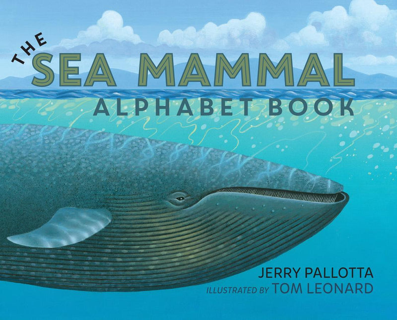 The Sea Mammal Alphabet Book-Children’s Early years / early learning concepts-買書書 BuyBookBook