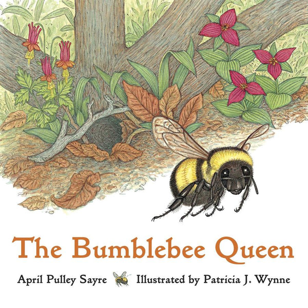 The Bumblebee Queen-Children’s / Teenage general interest: Nature and animals-買書書 BuyBookBook