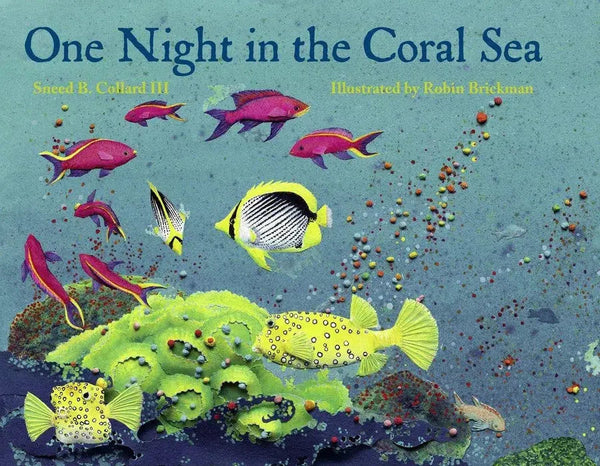 One Night in the Coral Sea-Children’s / Teenage general interest: Nature and animals-買書書 BuyBookBook