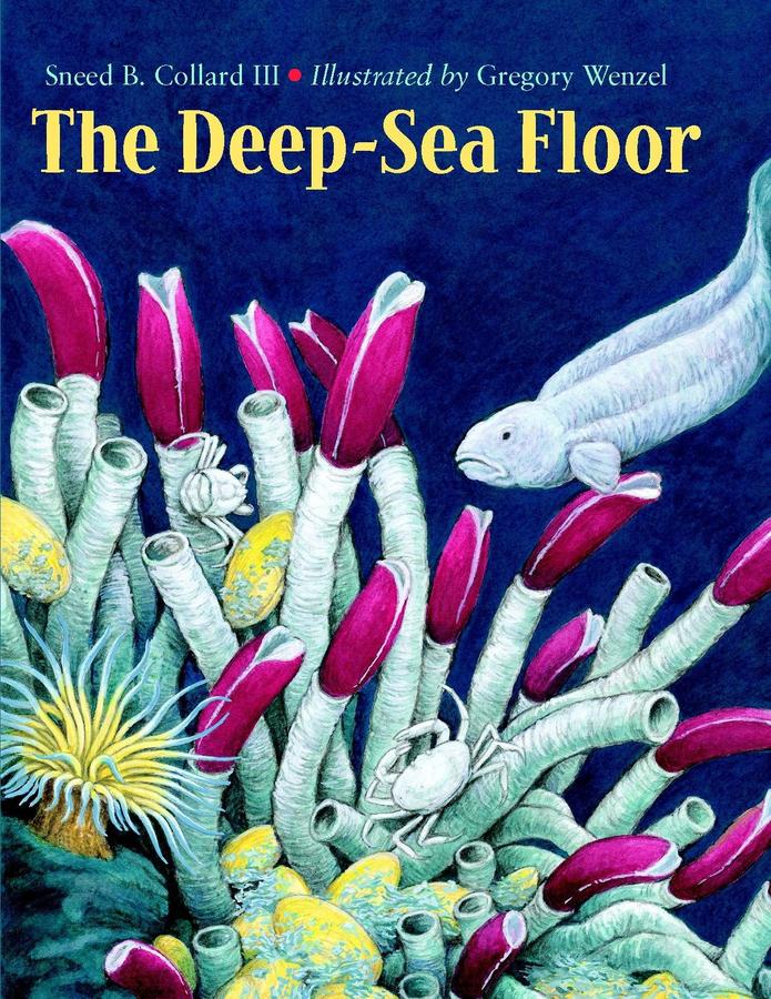 The Deep-Sea Floor-Children’s / Teenage general interest: Nature and animals-買書書 BuyBookBook