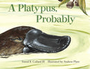 A Platypus, Probably-Children’s / Teenage general interest: Nature and animals-買書書 BuyBookBook