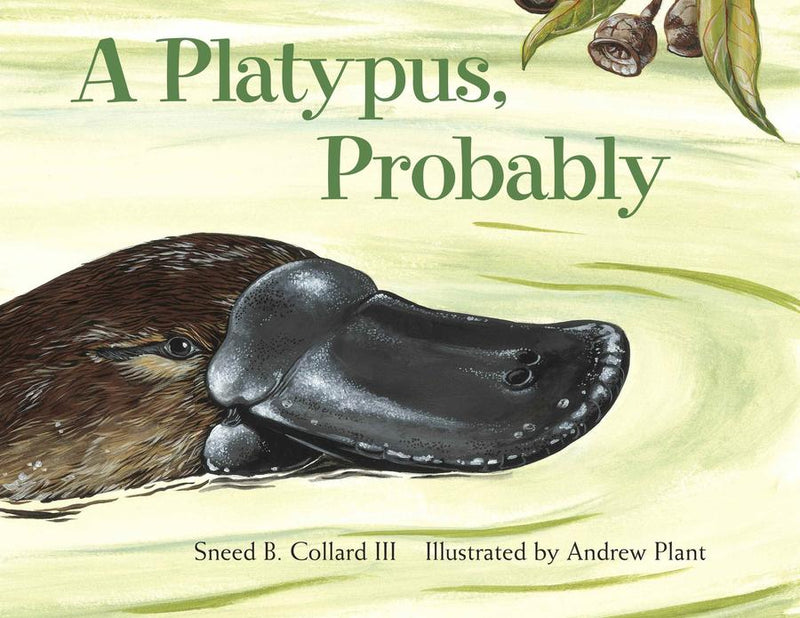 A Platypus, Probably-Children’s / Teenage general interest: Nature and animals-買書書 BuyBookBook