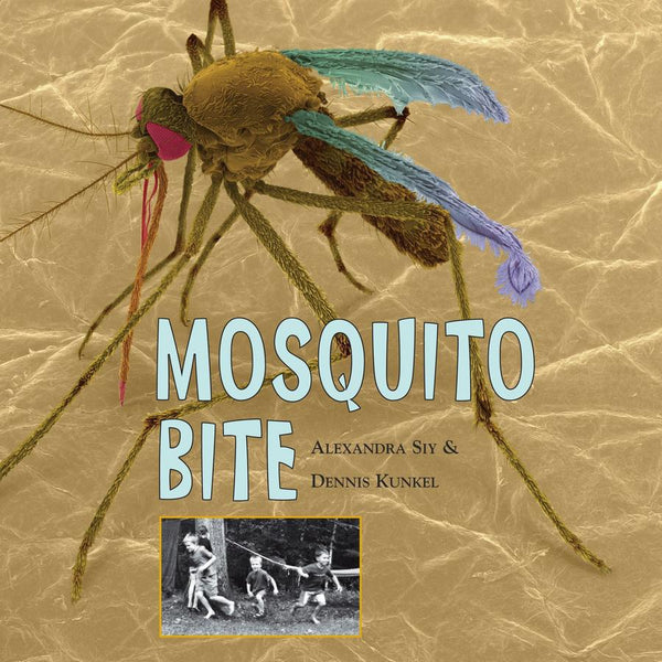 Mosquito Bite-Children’s / Teenage general interest: Nature and animals-買書書 BuyBookBook