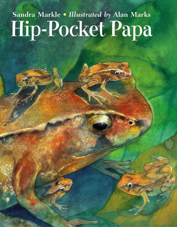 Hip-Pocket Papa-Children’s / Teenage general interest: Nature and animals-買書書 BuyBookBook