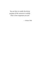 The Power of Now: A Guide to Spiritual Enlightenment (Eckhart Tolle)-Nonfiction: 心理勵志 Self-help-買書書 BuyBookBook