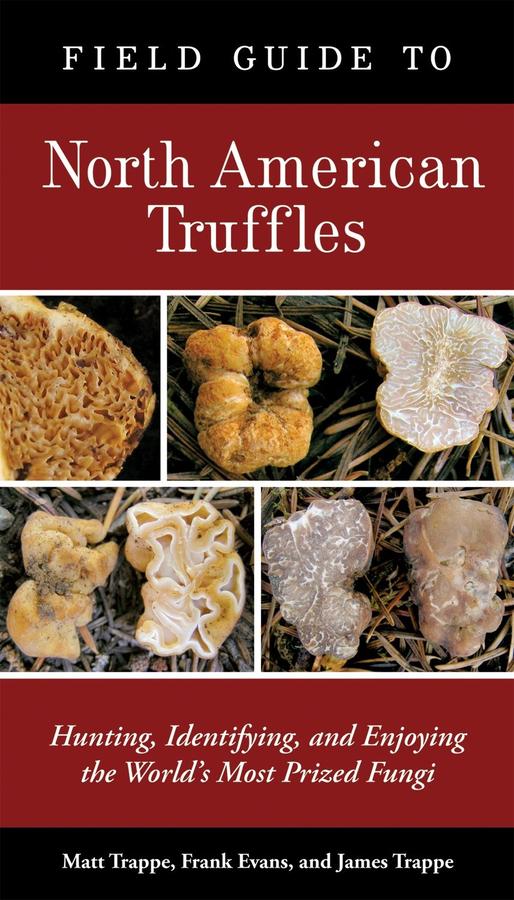 Field Guide to North American Truffles-Nature and the natural world: general interest-買書書 BuyBookBook