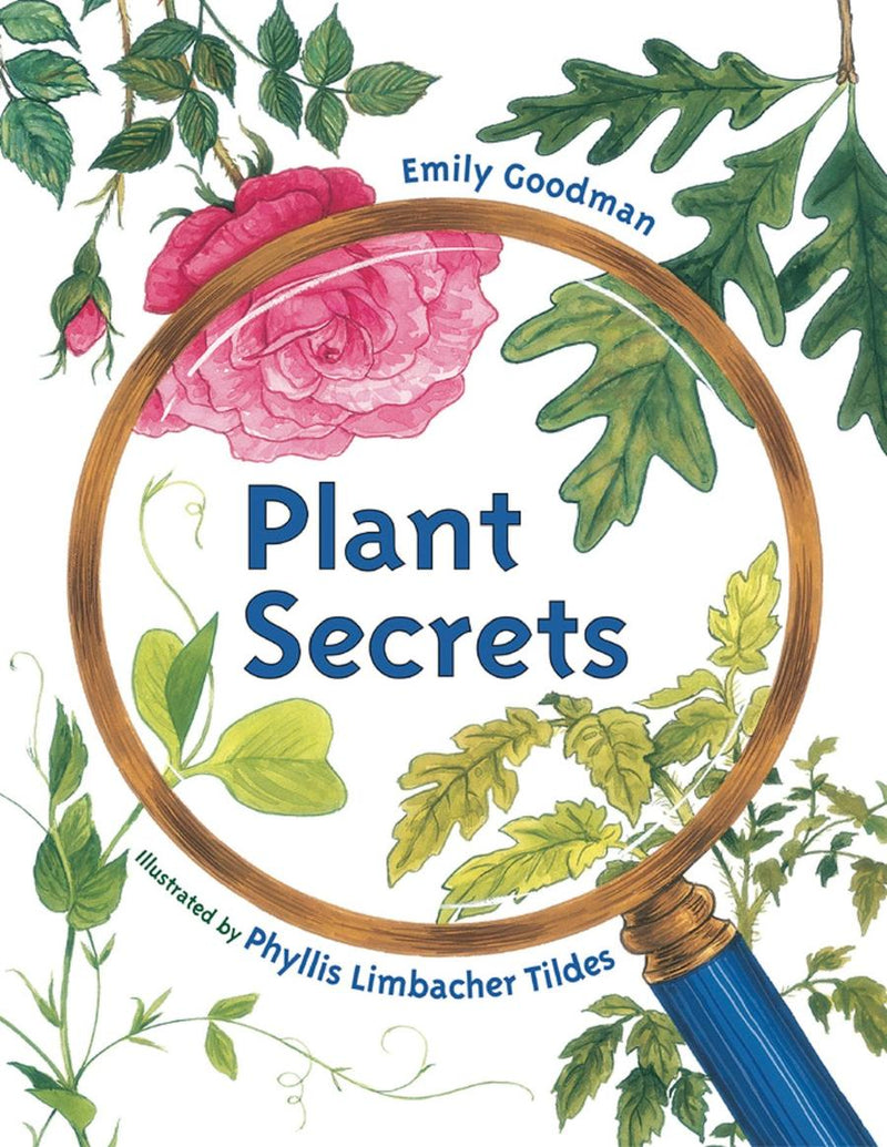Plant Secrets-Children’s / Teenage general interest: Nature and animals-買書書 BuyBookBook