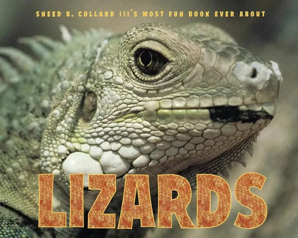 Sneed B. Collard III's Most Fun Book Ever About Lizards-Children’s / Teenage general interest: Nature and animals-買書書 BuyBookBook