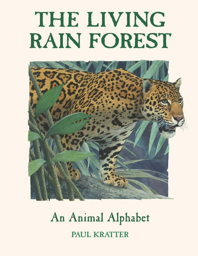 The Living Rain Forest-Children’s / Teenage general interest: Nature and animals-買書書 BuyBookBook