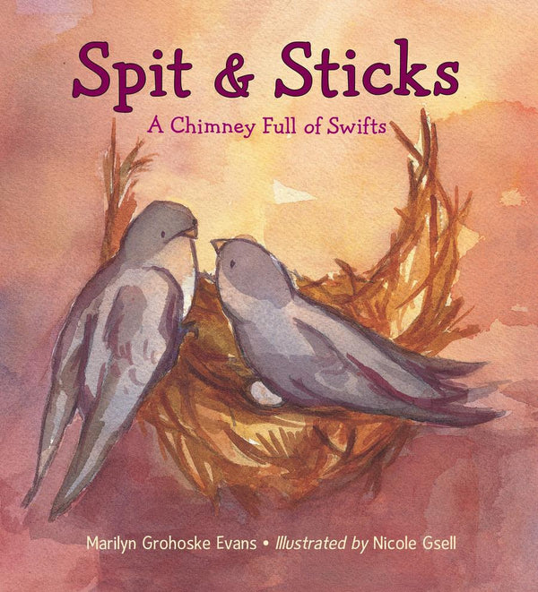 Spit & Sticks-Children’s / Teenage general interest: Nature and animals-買書書 BuyBookBook