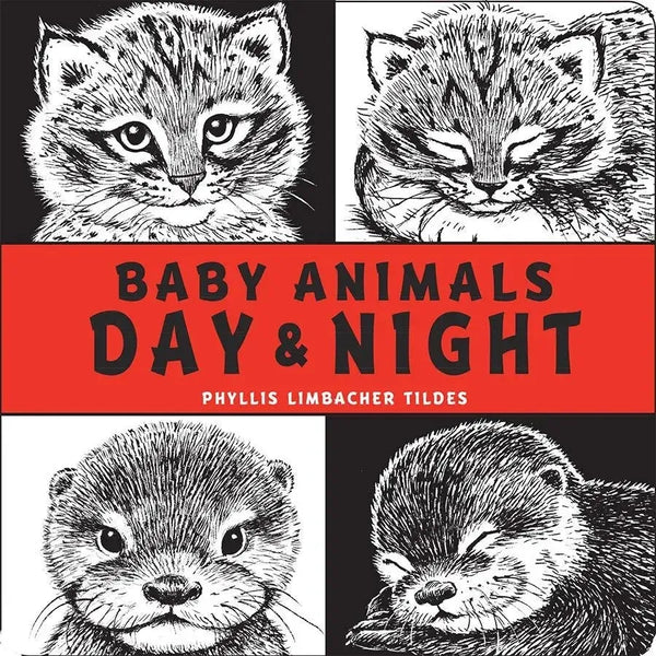 Baby Animals Day & Night-Children’s / Teenage general interest: Nature and animals-買書書 BuyBookBook