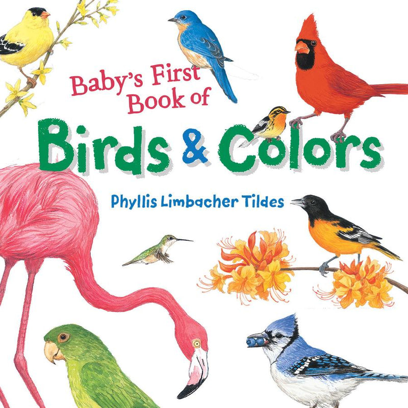 Baby's First Book of Birds & Colors-Children’s Early years / early learning concepts-買書書 BuyBookBook