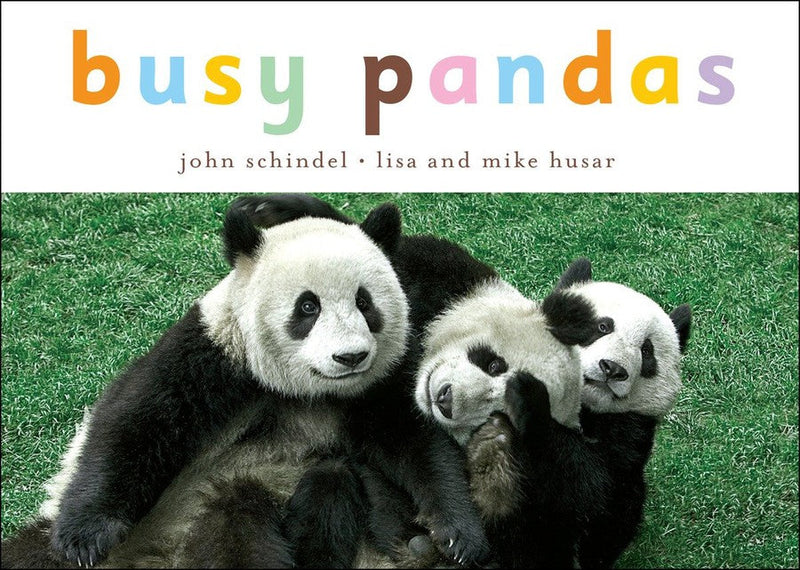 Busy Pandas-Children’s / Teenage general interest: Nature and animals-買書書 BuyBookBook