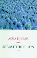 So Vast the Prison-Fiction: general and literary-買書書 BuyBookBook