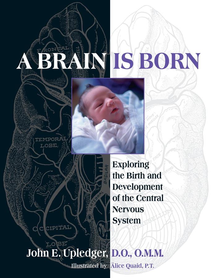 A Brain Is Born-Mind/ body/ spirit-買書書 BuyBookBook