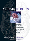 A Brain Is Born-Mind/ body/ spirit-買書書 BuyBookBook