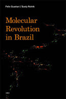 Molecular Revolution in Brazil-Politics and government-買書書 BuyBookBook