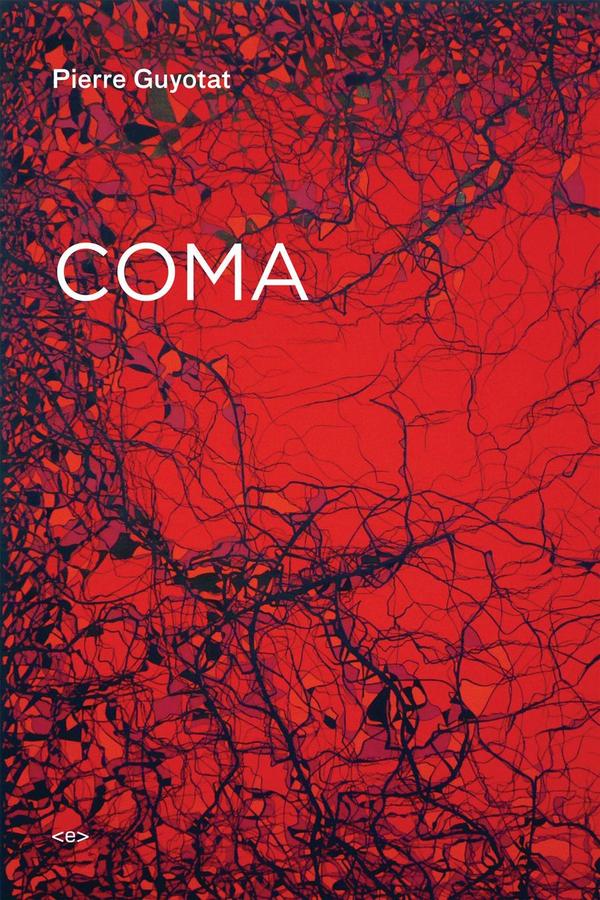Coma-Fiction: general and literary-買書書 BuyBookBook