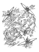 Torrents As Yet Unknown US - Paperback / softback