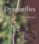 Dragonflies-Nature and the natural world: general interest-買書書 BuyBookBook
