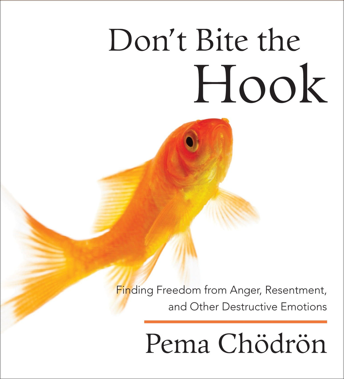 Don't Bite the Hook cover (ISBN 9781590304341)