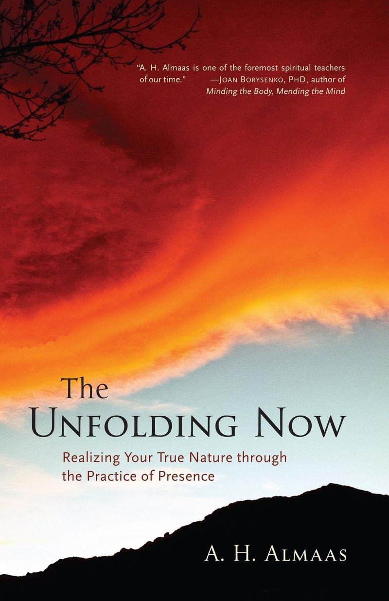 The Unfolding Now-Mind/ body/ spirit-買書書 BuyBookBook