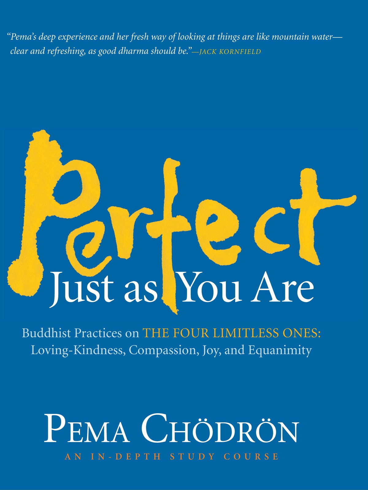 Perfect Just as You Are cover (ISBN 9781590306284)