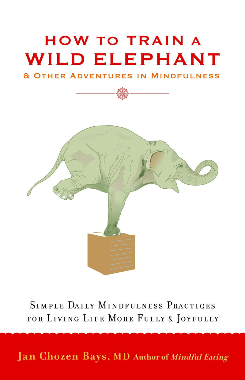 How to Train a Wild Elephant-Self-help/ personal development/ practical advice-買書書 BuyBookBook