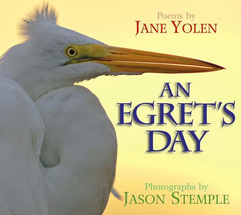 An Egret's Day-Children’s / Teenage general interest: Nature and animals-買書書 BuyBookBook