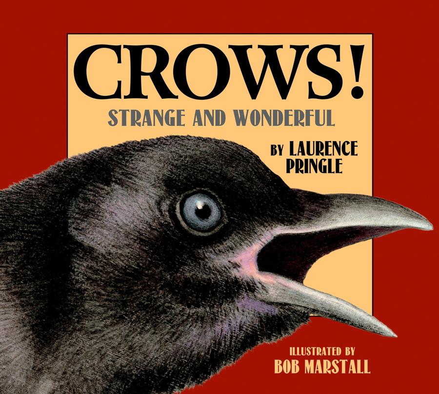 Crows!-Children’s / Teenage general interest: Nature and animals-買書書 BuyBookBook