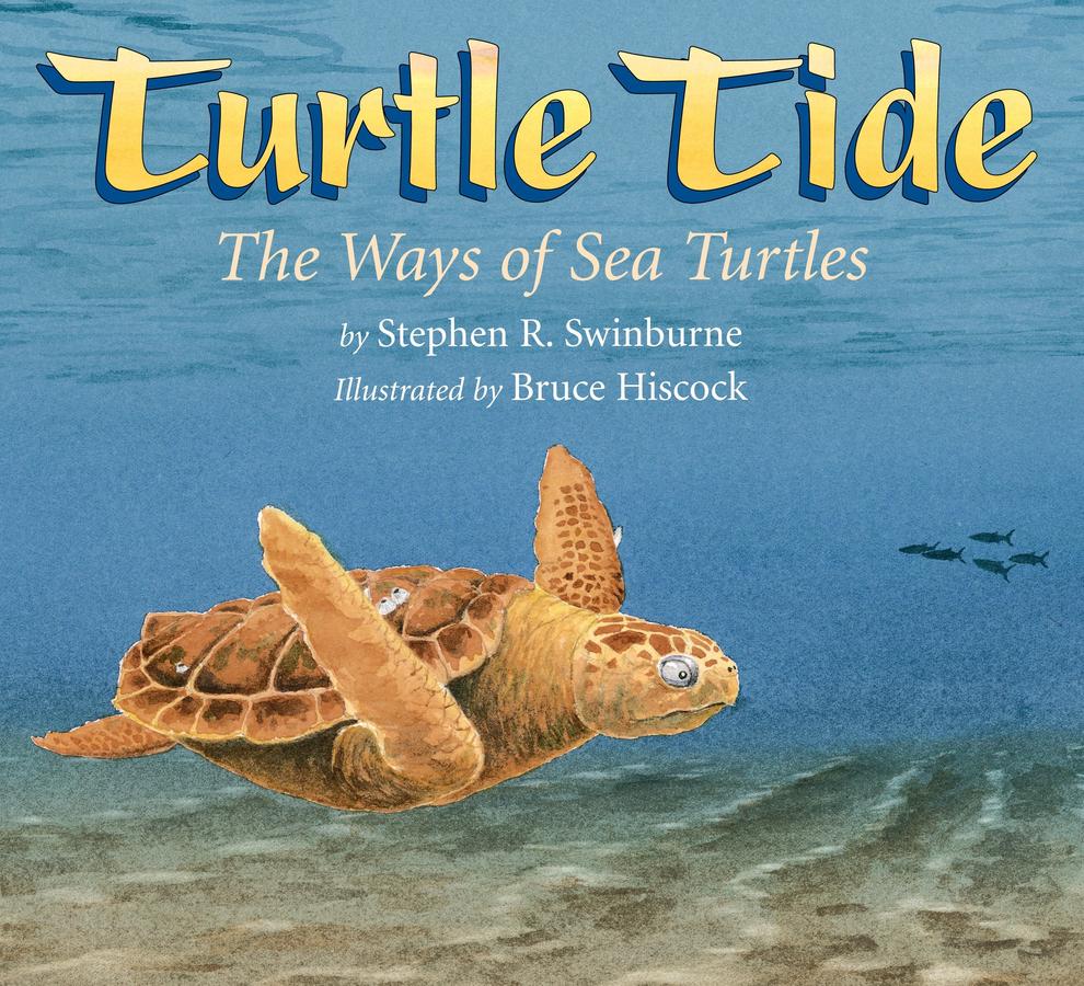 Turtle Tide-Children’s / Teenage general interest: Nature and animals-買書書 BuyBookBook
