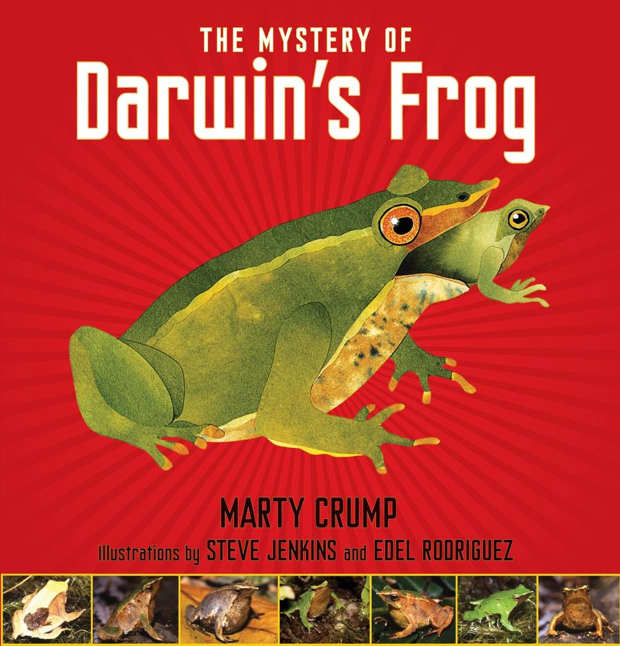 The Mystery of Darwin's Frog-Children’s / Teenage general interest: Science and technology-買書書 BuyBookBook