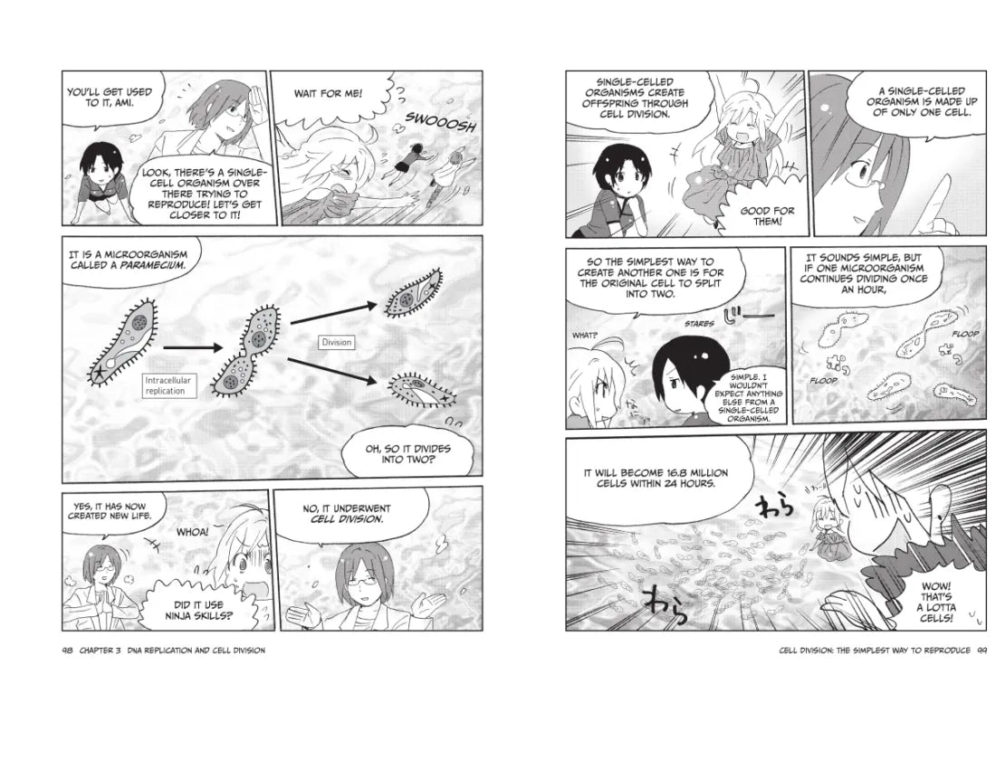 The Manga Guide to Molecular Biology US - Paperback / softback