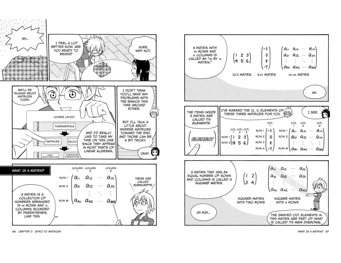 The Manga Guide to Linear Algebra US - Paperback / softback