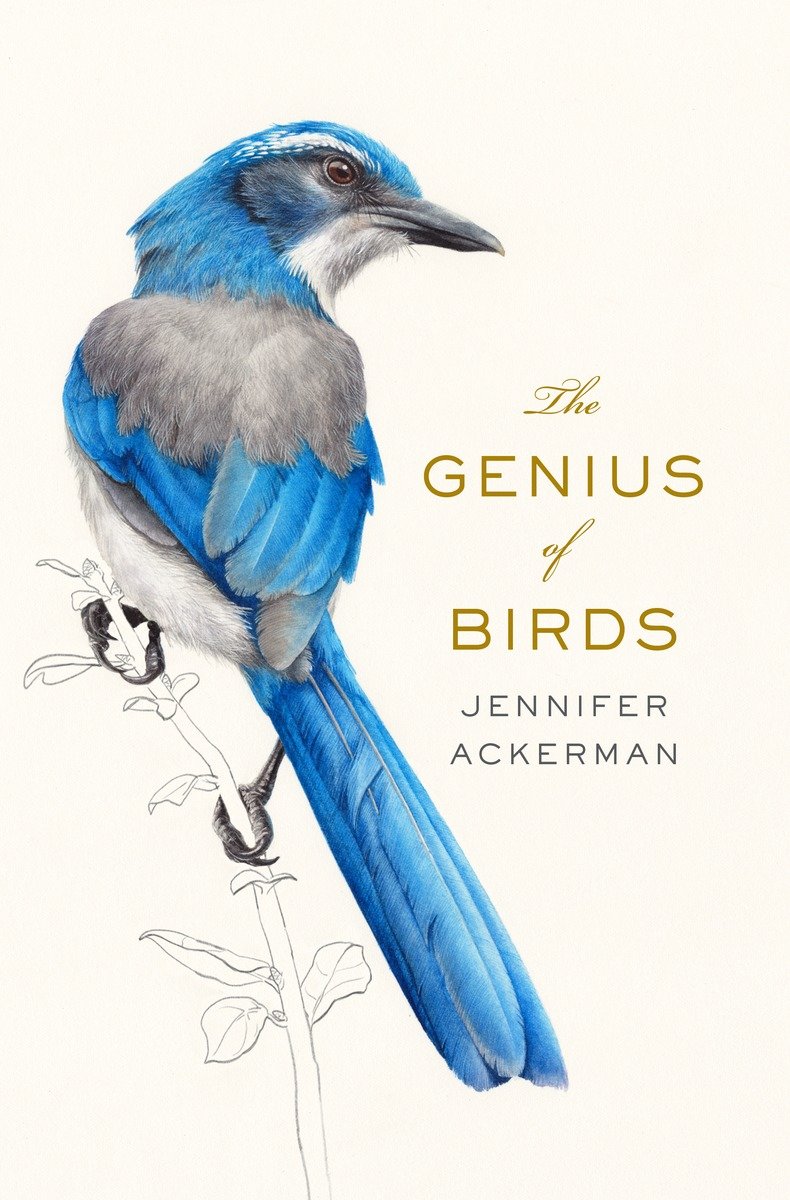 The Genius of Birds-Mathematics and Science-買書書 BuyBookBook