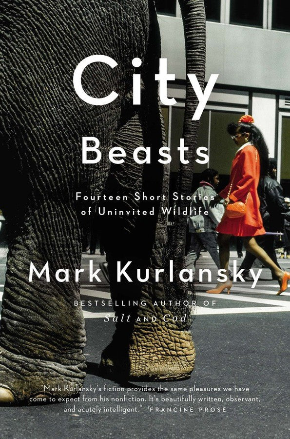 City Beasts-Fiction: Short stories and other special features-買書書 BuyBookBook