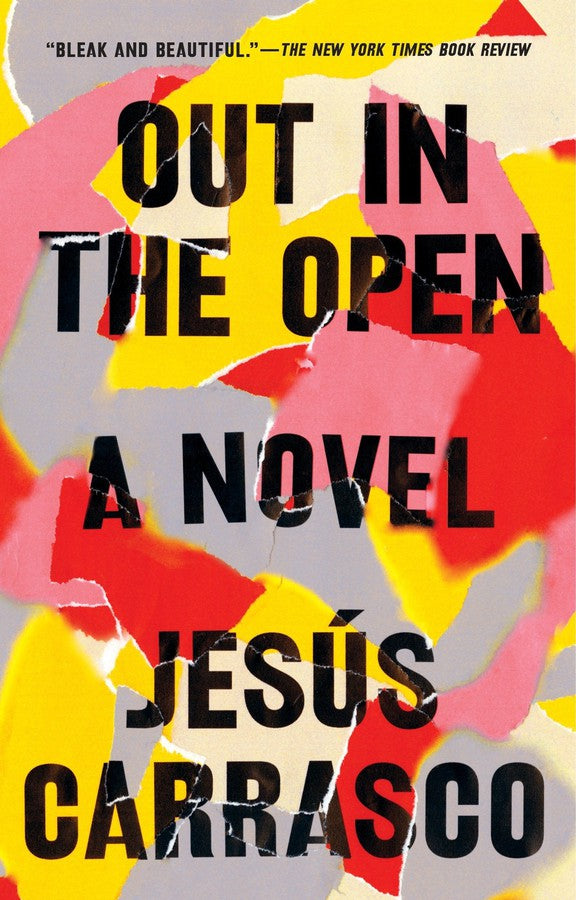 Out in the Open-Fiction: general and literary-買書書 BuyBookBook