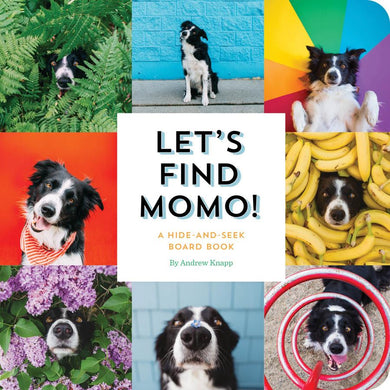 Let's Find Momo!-Children’s / Teenage general interest: Nature and animals-買書書 BuyBookBook