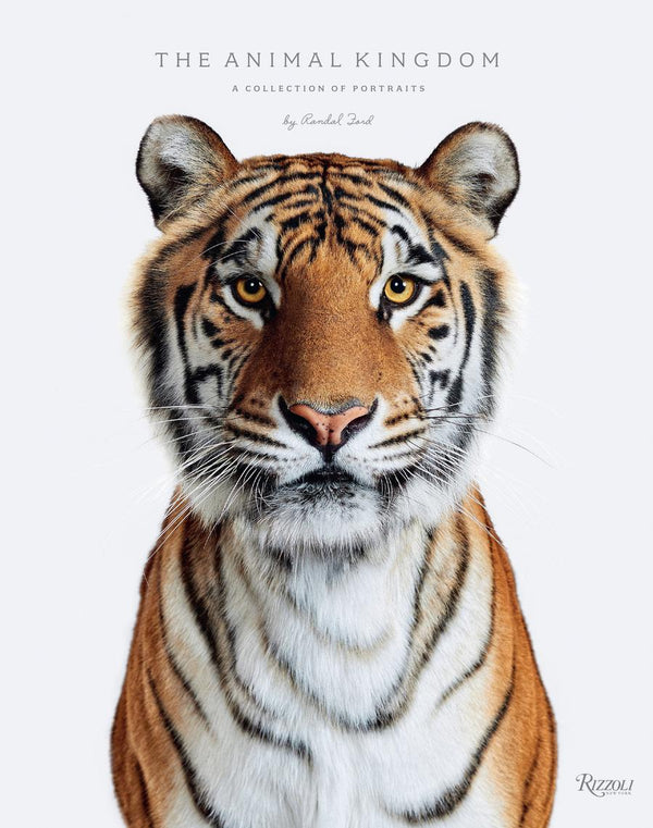 Animal Kingdom-Photography and photographs-買書書 BuyBookBook
