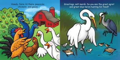 Good Night Birds US - Board book