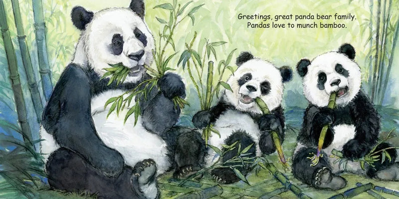 Good Night Bears US - Board book