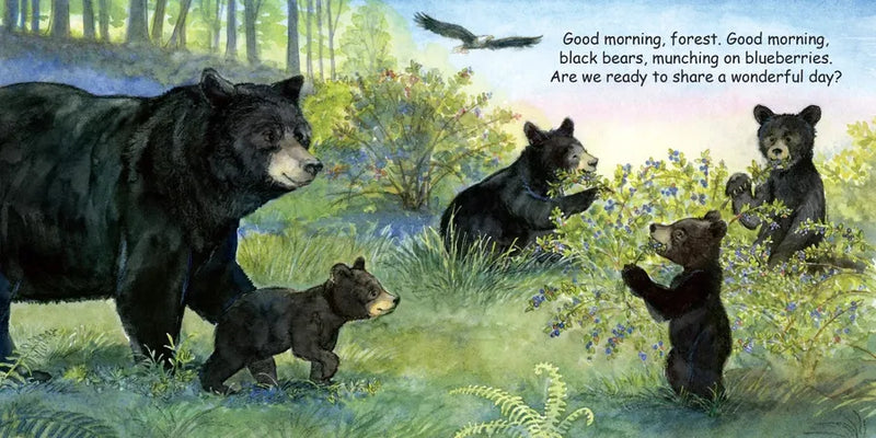 Good Night Bears US - Board book