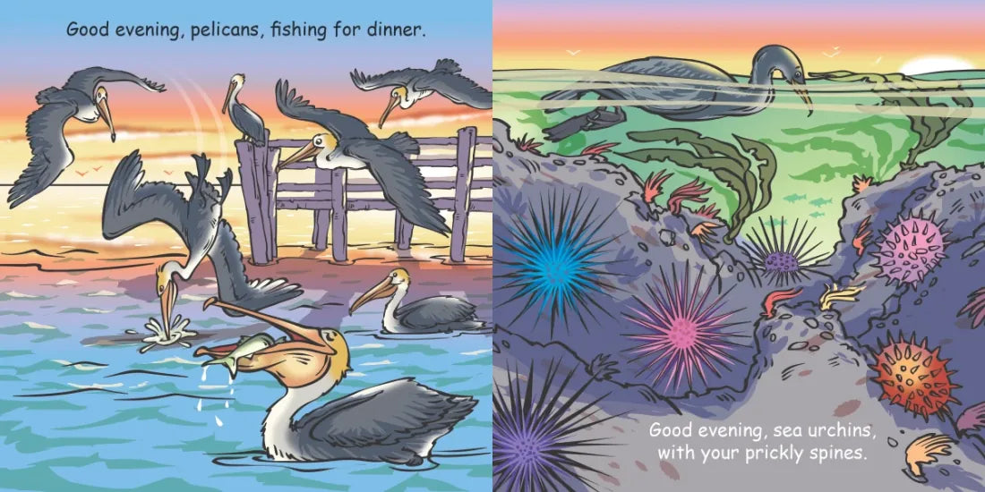 Good Night Seashore US - Board book