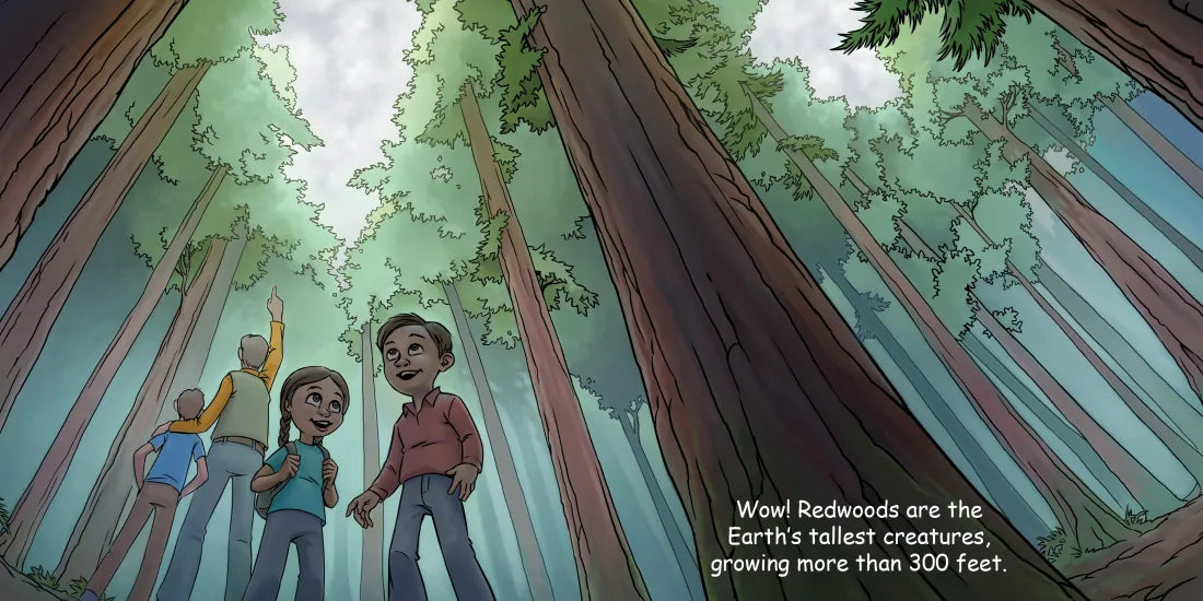 Good Night Redwoods US - Board book